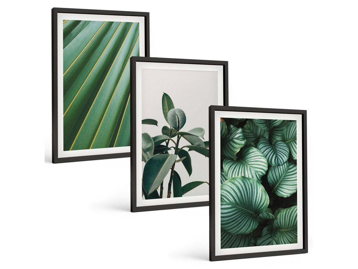 Quadros Decorativos Para Parede Folhas Tropicais Estéticas Moldura Preta Fotos Para O Escritório Espelharte (3 Piezas De 40x60 Cm)