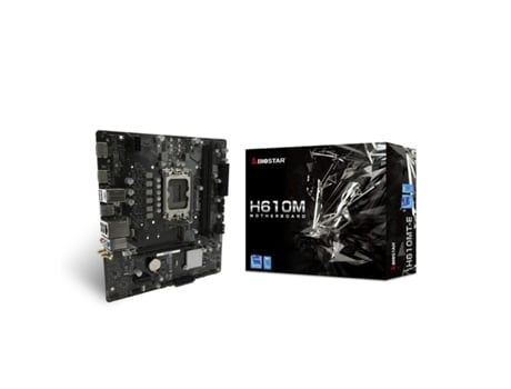 Placa Mãe BIOSTAR H610Mte Matx Lga 1700 Intel H610