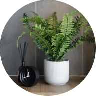 Plantas e Flores Artificiais