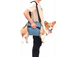 Mochila de Transporte para Cães, com Abertura para Patas AQUAFORGE