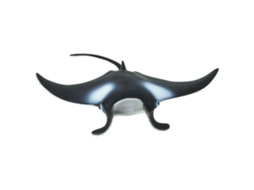SAFARI Manta Ray