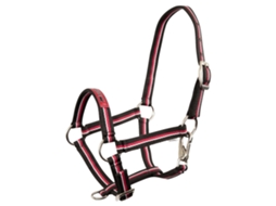 Cabresto para Potros PREMIERE Equitation Fun