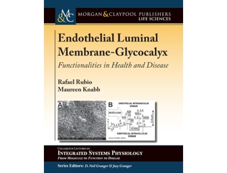 Livro Endothelial Luminal Membrane-glycocalyx Functionalities In Health And Disease De Rafael Rubio E Maureen Knabb (inglês)