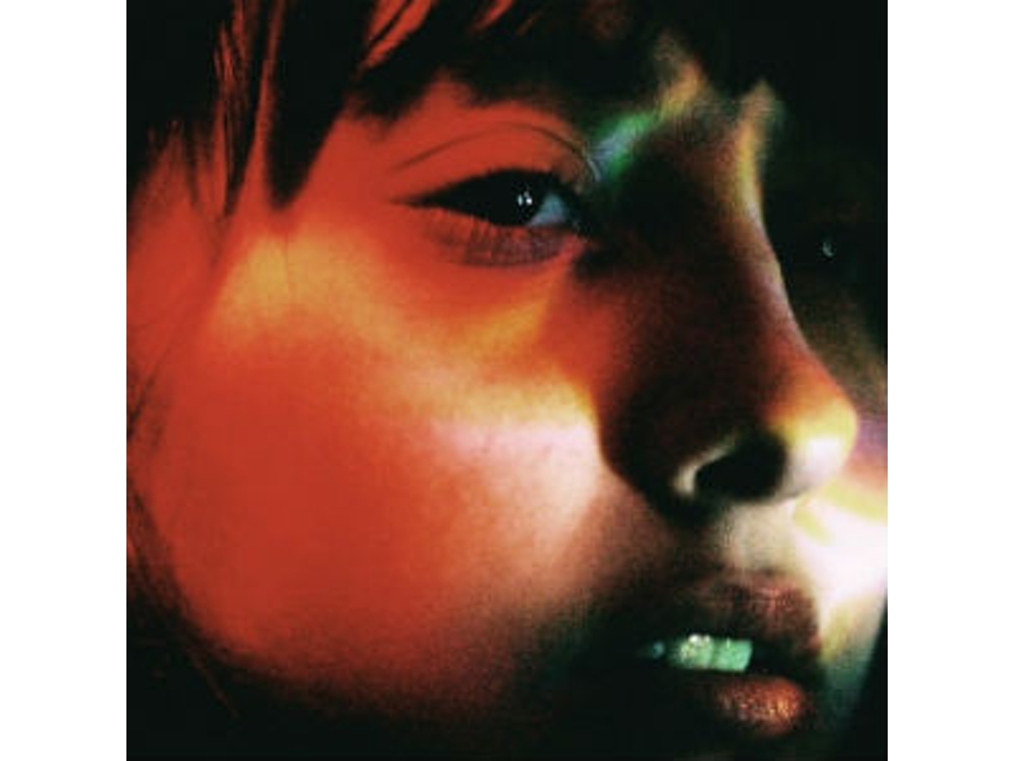 Vinil Delicate Steve - Positive Force