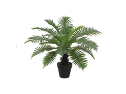 Planta Decorativa Home Esprit Pvc Pteridófitas 80 X 80 X 60 Cm