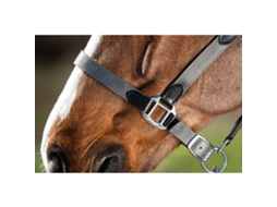 Cabresto com Corda Nylon HFI Neoprene Smart