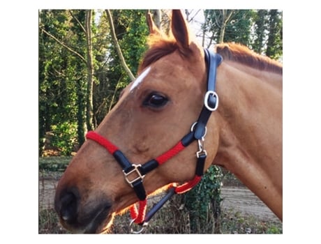 Cabresto e corda de couro para cavalos Cavaletti Tara