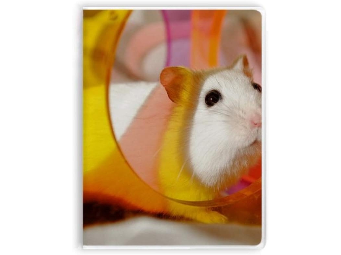 Carnet De Notas Com Sopa De Cobertura Motif Rat Blanc