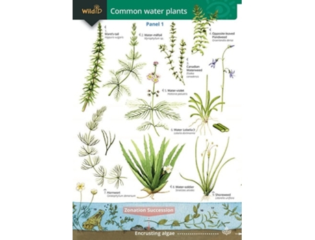 Livro Guide to Commoner Water Plants de Richard Orton, Anne Bebbington et al. (Inglês)