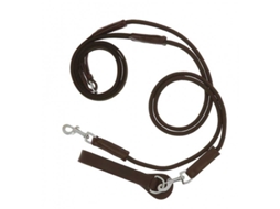 Rédeas Do Canva German Castanho Fullnorton Equestrian