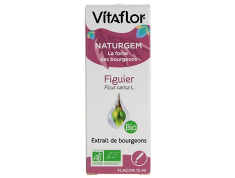 Extrato de broto de figo orgânico Naturgem 15 ml VITAFLOR