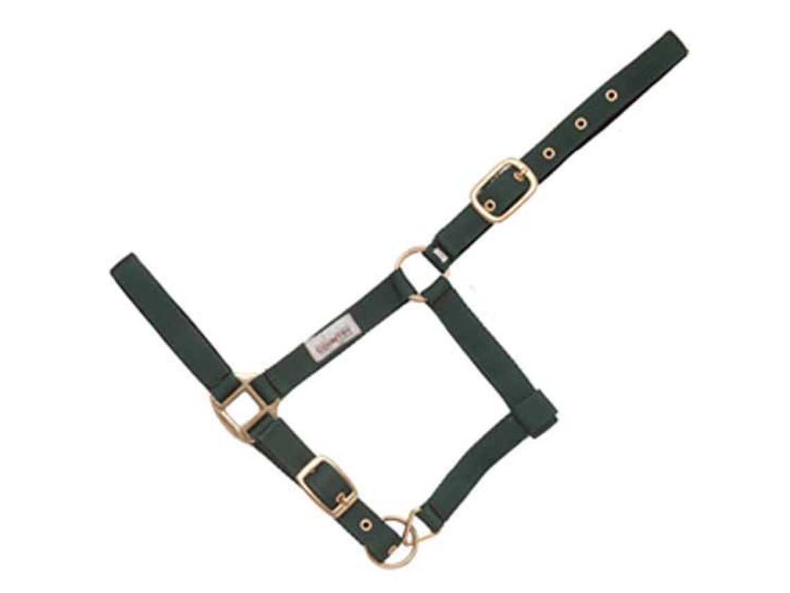 Dobro Sem Mosquetão Halter Nylon Verde Ponyhispano Hipica