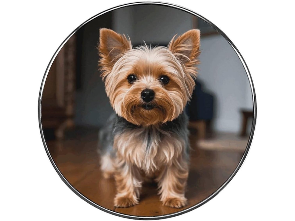 Ímã De Geladeira Fofo Com Um Yorkshire Terrier, Ímã Colorido Para Geladeira, Ímãs De Liga Metálica Para Quadro Branco