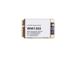 Módulo de Passageiro Lorawan Wio wm1302 Us915 M, Lora 915 Mhz 902 928 Mhz SUNNY SPACES (spi)
