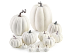abóbora Falsa Branca, 12 Peças Assortidas de Abóbora Falsa para Halloween e Decoração de Outono