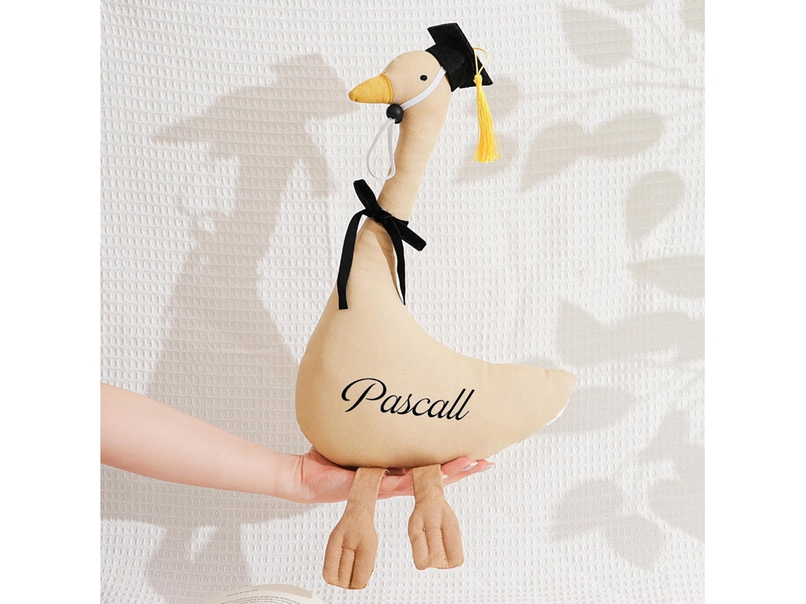 Pelúcia Pato Personalizada 50 Cm Para Formatura, Grande (ganso)