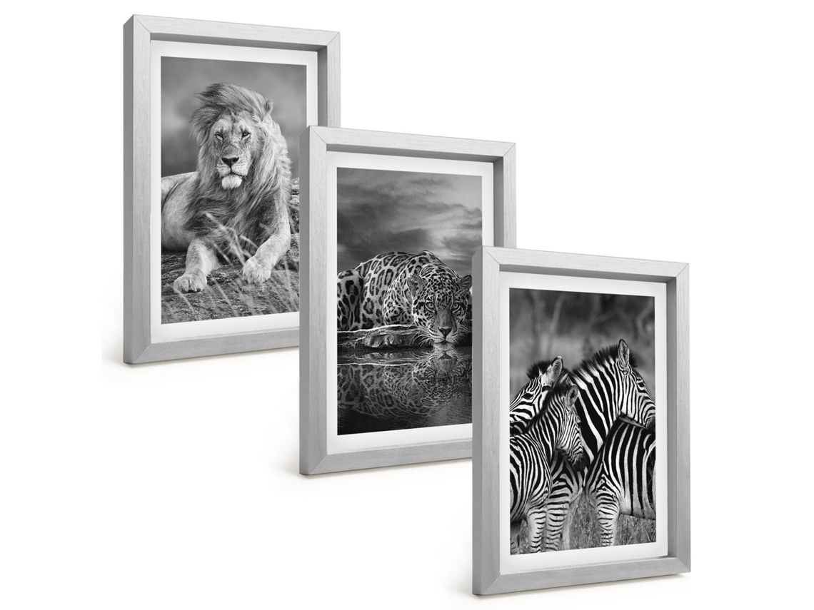 Quadros Decorativos Para Paredeanimais Selvagens, Savana Moldura Prateada Quadros Para O Escritório Espelharte (3 Peças 20x30 Cm)