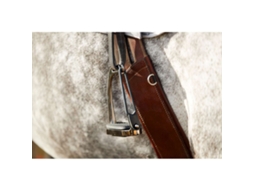 Estribos de Segurança para Equitação HORSEGUARD Safety