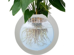 Vaso De Parede, Terrário, Suporte Em Forma De Globo, Estação De Propagação De Tillandsia |