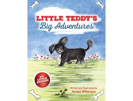 Livro Little Teddys Big Adventures De Teresa Wilkerson (inglês)