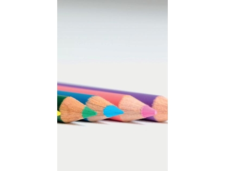 Livro Beginners Notebook De C S Young (inglês)