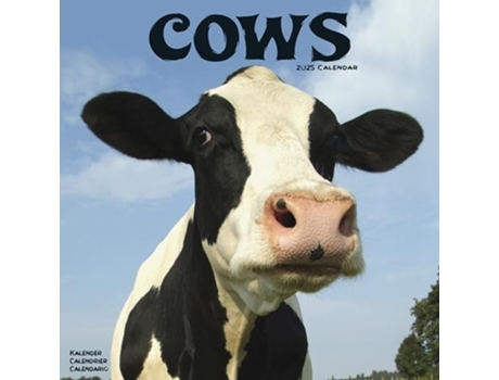 Livro Cows Calendar 2025 Square Farm Animal Wall Calendar - 16 Month de Avonside Publishing Ltd (Inglês)
