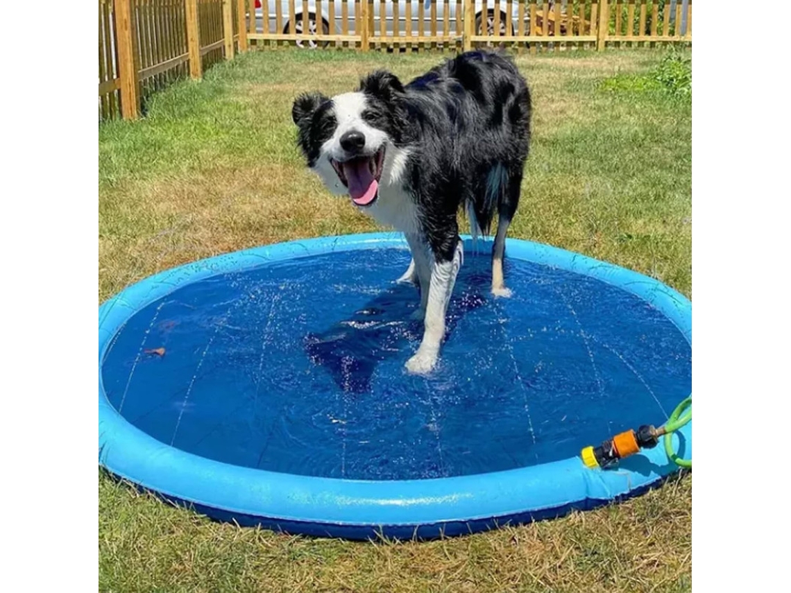 Piscina E Tapete Aquático , 78,7 Polegadas, Brinquedo Para Jardim E Gramado