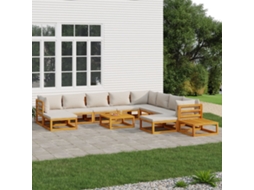 Vidaxl 12 Pcs Conj. Lounge De Jardim Madeira C/ Almofadões Cinza-claro
