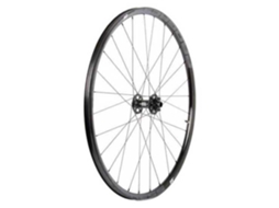 Progress Revo 2021 Front