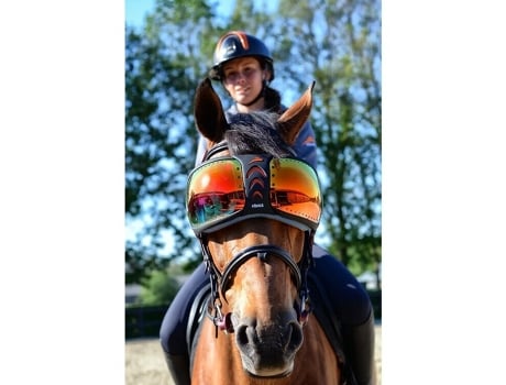 Óculos para Cavalos para Mulher EQUICK (TU - Multicor)