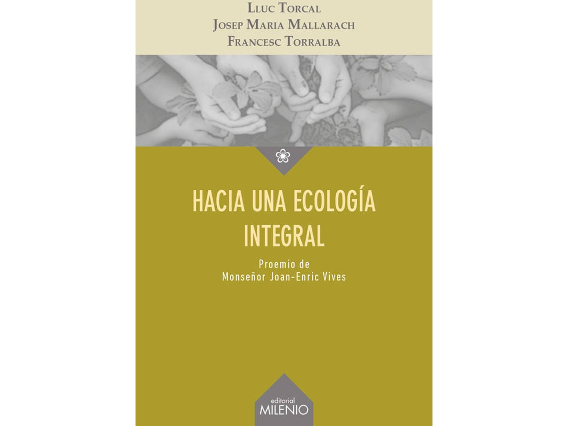 Livro Hacia Una Ecología Integral (Espanhol)