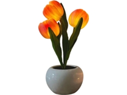 Abajur De Mesa Floral Iluminação Romântica, Recarregável Via Usb.