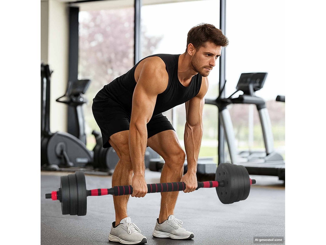 Vidaxl Conjunto De Halteres 2 Em 1 30kg Preto E Vermelho