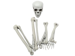 1 Conjunto de Esqueleto Simulado para Decorações de Halloween ALLINLESS