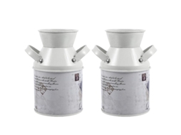 2 Unidades de Recipiente de Flores de Ferro ALLINLESS
