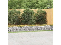 Vidaxl Canteiro Elevado Gabião Arqueado 800x100x50cm Ferro Galvanizado