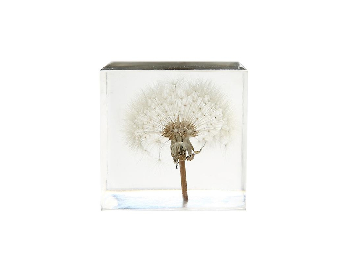 Ornamento de Cubo de Dente de Leão ALLINLESS