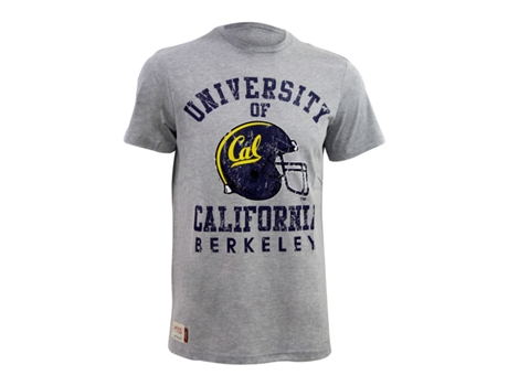 T-shirt Homem AMERICAN FRESHMAN Cinzento (Tam: M)