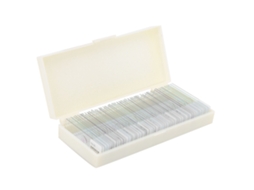 Lâminas Bacterianas (padrão Superior, Fácil Observação)