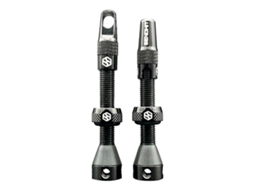 Válvulas Tubeless 2 Unidades Prateado 44 Mmsend-Hit