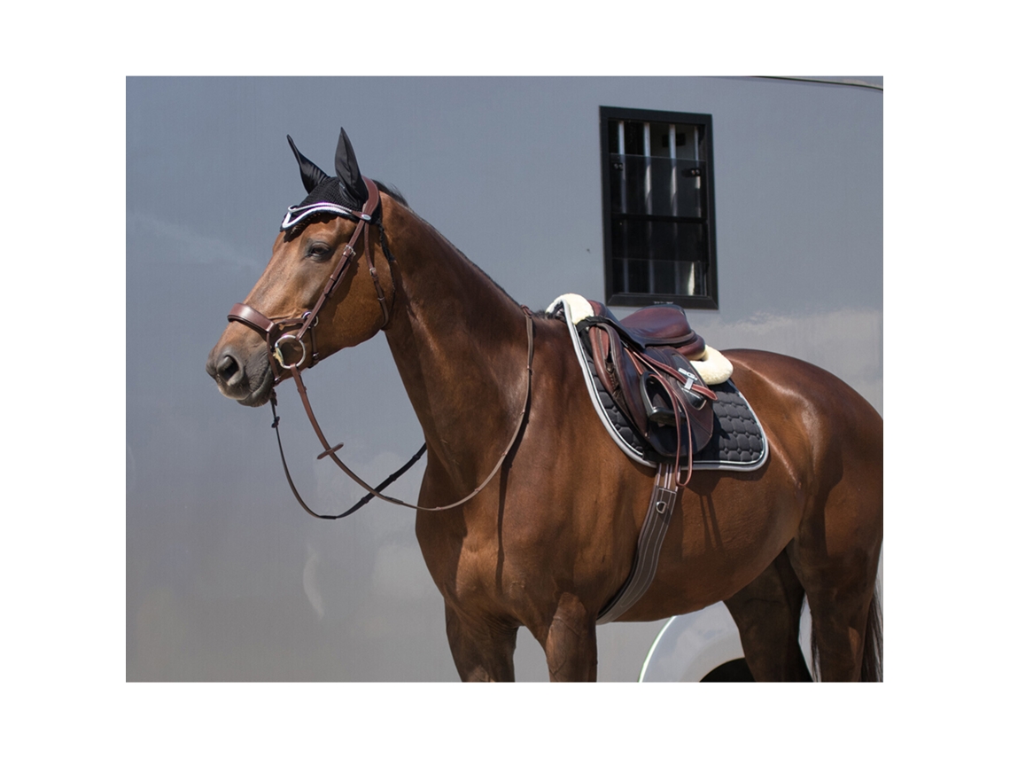 Correia de Couro Anatómica com Costura QHP Luxe