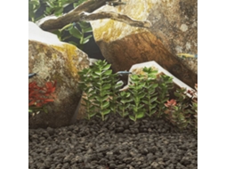 Vidaxl Pedras Vulcânicas 10 Kg 3-5 Cm Preto