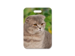 Pingente de Bolsa Gato British Shorthair BRILVIBERA