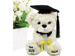 Urso De Pelúcia Formatura - Lembrança