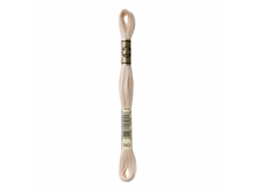 Linha de Bordar DMC Mouline 117Mc Bege 543
