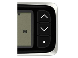 Raymarine Exibição de Profundidade I40