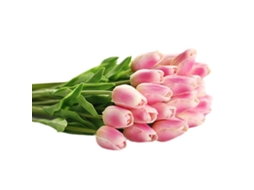 12 Tulipas Artificiais com Toque Realista, Rosa Escuro, 34cm AQUAFORGE