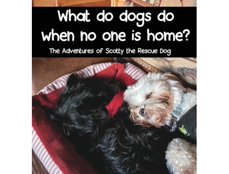 Livro What Do Dogs Do When No One Is Home? De Tamara Janiga (inglês)