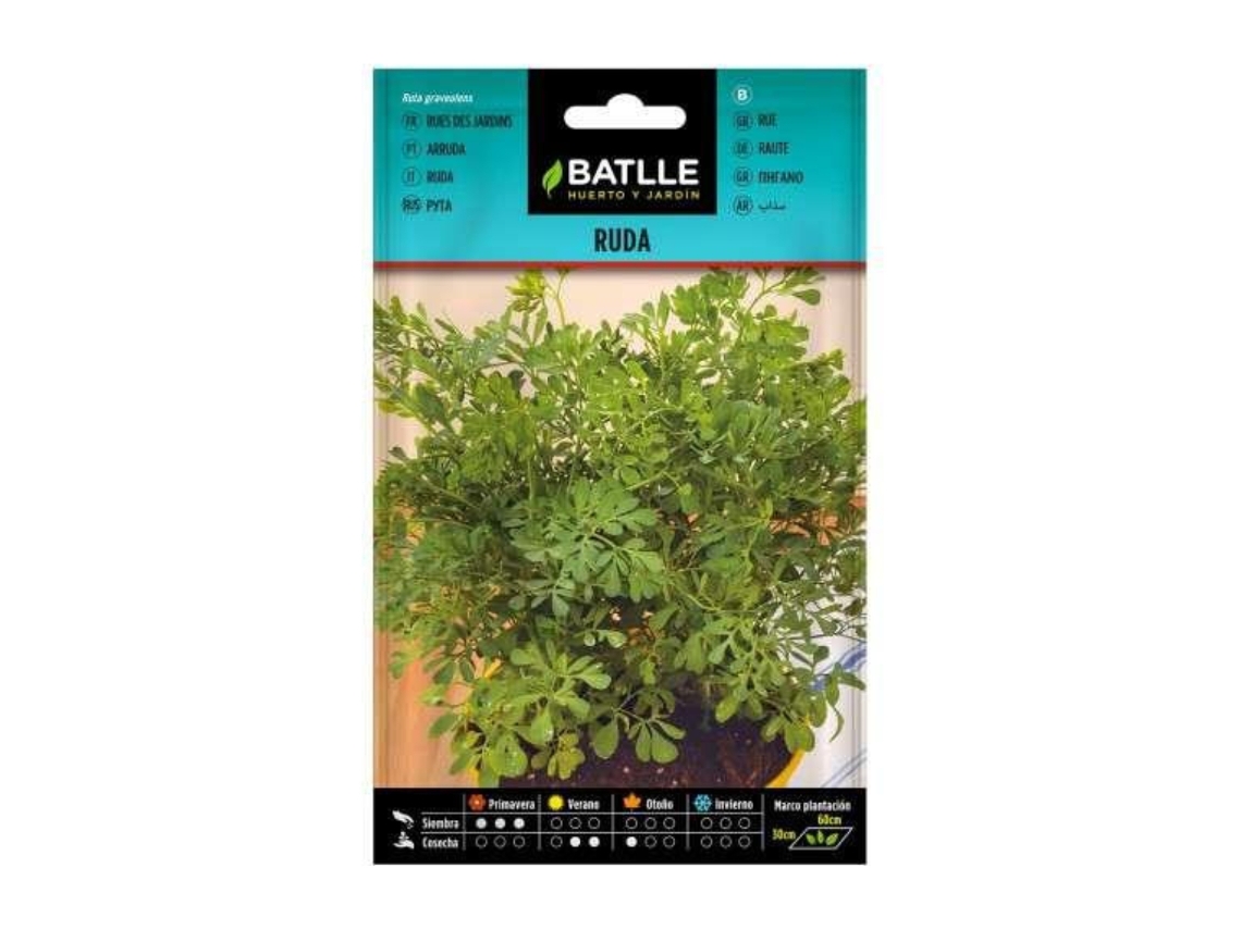Sementes de Arruda BATLLE