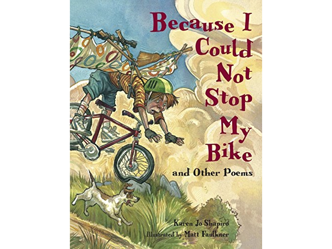 Livro Because I Could Not Stop My Bike de Karen Jo Shapiro (Inglês)